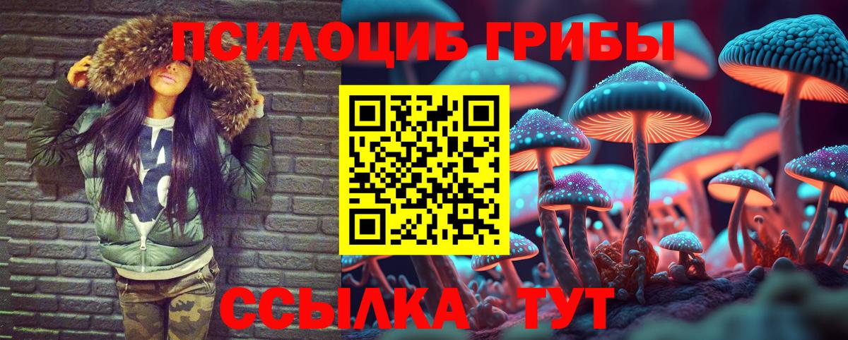 Коломна  Галлюциногенные грибы Psilocybine cubensis  Вход с VPN  Галлюциногенные грибы Psilocybine cubensis 
